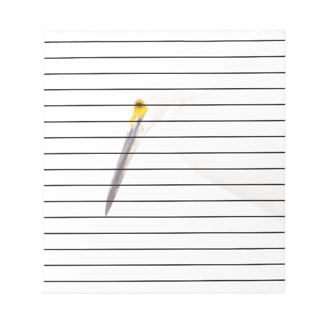 Bloc De Notas Captura de cabeza de Egret (Frente)