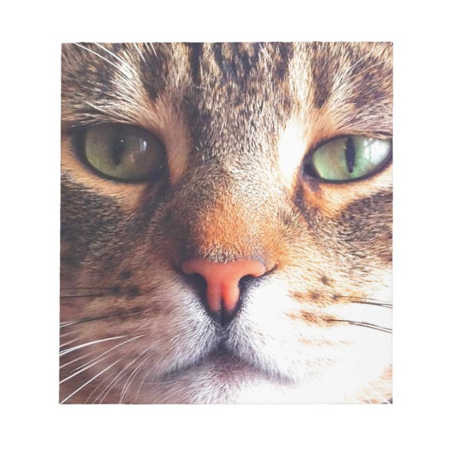 Bloc De Notas Cara de gato (Frente)