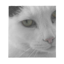 Cara de gatos negros y blancos