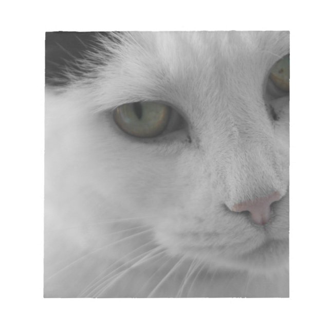 Bloc De Notas Cara de gatos negros y blancos (Frente)