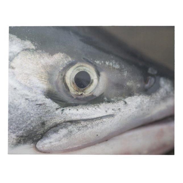 Bloc De Notas Cara de salmón plateado (Frente)