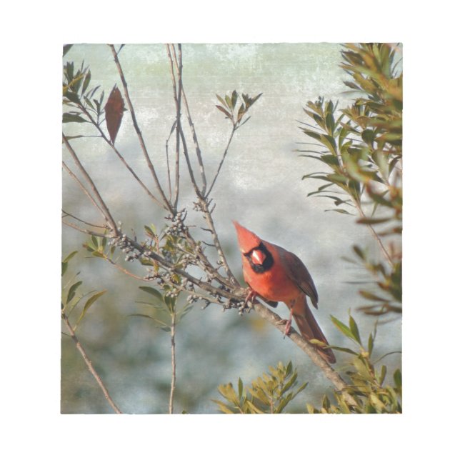 Bloc De Notas Cardenal del Norte en Wax Myrtle (Frente)