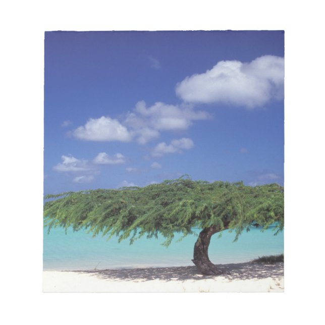 Bloc De Notas Caribe, Aruba. Playa Eagle (Frente)
