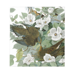 Bloc De Notas Carolina Pigeon Audubon Morning Dove