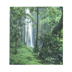Bloc De Notas Cataratas de Hanakapiai a lo largo de la costa de 