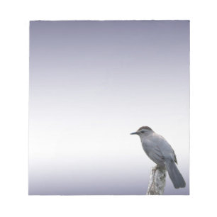 Bloc De Notas Catbird
