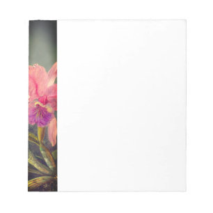 Bloc De Notas Cattleya Orchid y tres Hummingbirds Heade