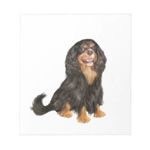 Bloc De Notas Cavalier King Charles (R) - Negro y tostado.png