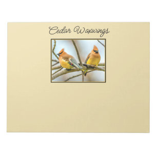 Bloc De Notas Cedar Waxwing - Fotografía original