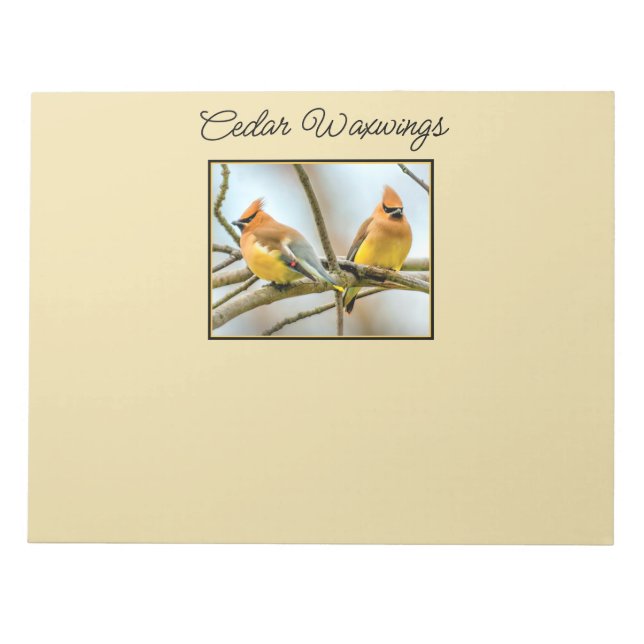 Bloc De Notas Cedar Waxwing - Fotografía original (Frente)