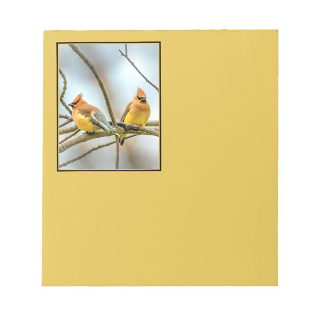 Bloc De Notas Cedar Waxwing - Fotografía original (Frente)