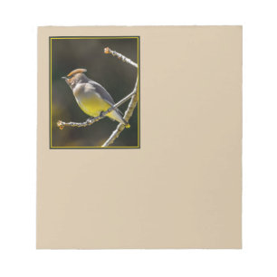 Bloc De Notas Cedar Waxwing Songbird Foto original de ave silves