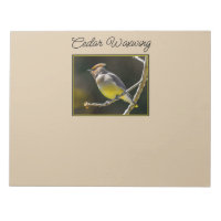 Cedar Waxwing Songbird Foto original de ave silves
