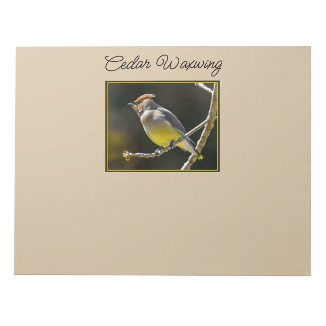 Bloc De Notas Cedar Waxwing Songbird Foto original de ave silves (Frente)