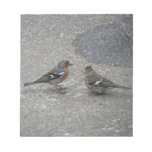 Bloc De Notas Chaffinch Feed Me Notepad