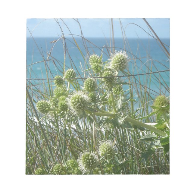 Bloc De Notas chardones (Frente)