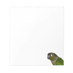 Bloc De Notas Cheeked verde Conure