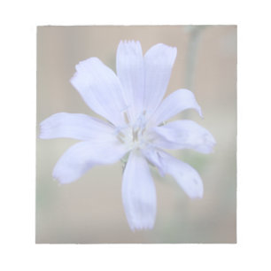 Bloc De Notas Chicory