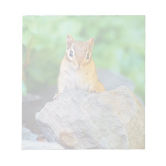 Bloc De Notas Chipmunk bebé curioso