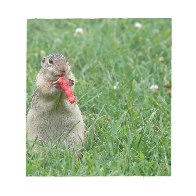 Bloc De Notas Chipmunk.JPG (Frente)