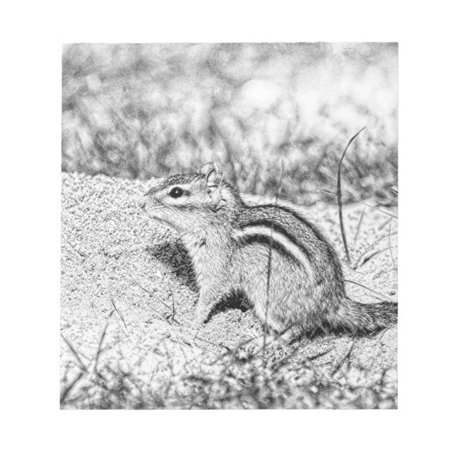 Bloc De Notas Chipmunk Sketch (Frente)
