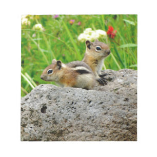 Bloc De Notas Chipmunks y flores silvestres