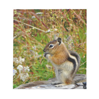 Bloc De Notas Chubby lindo chipmunk sobre trozo de madera