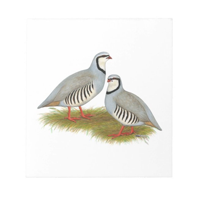 Bloc De Notas Chukar Partridge Pair (Frente)