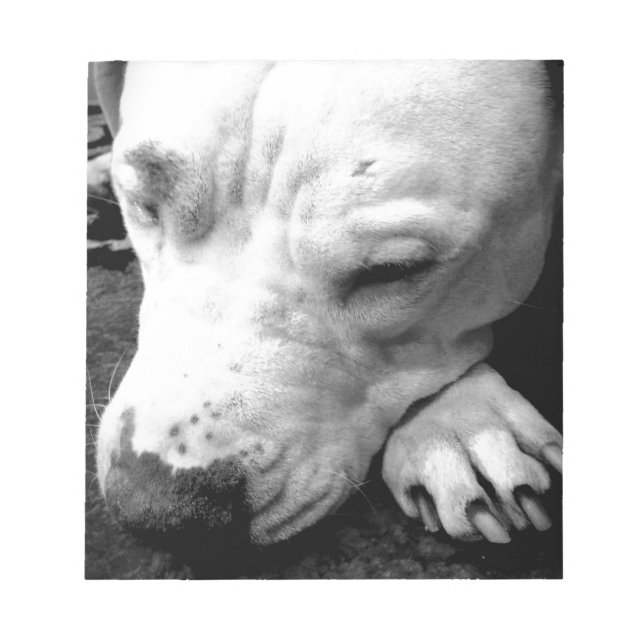 Bloc De Notas cicatriz de harry potter perro pit bull blanco (Frente)
