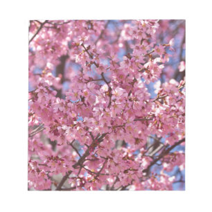 Bloc De Notas Cielo de flores de cerezo rosado de Sakura
