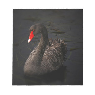 Bloc De Notas Cisne negro