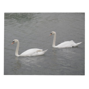 Bloc De Notas Cisnes en el río Notepad