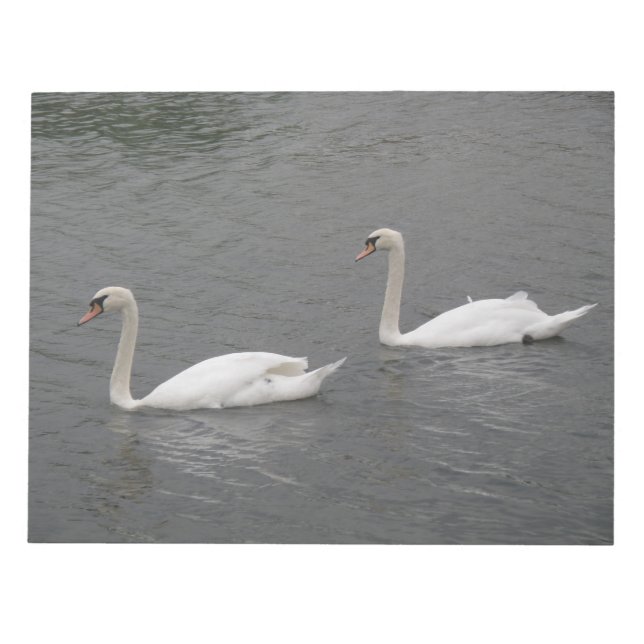 Bloc De Notas Cisnes en el río Notepad (Frente)