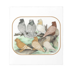 Bloc De Notas Clásico Frill Pigeons Blondinettes