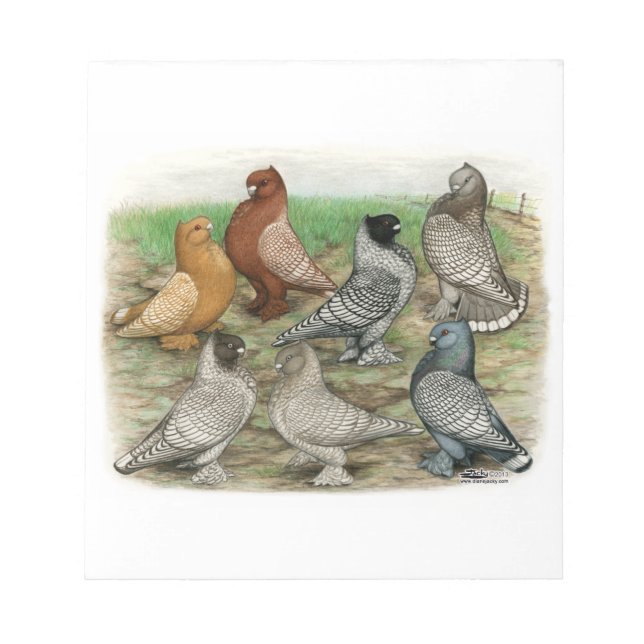 Bloc De Notas Classic Frill Pigeons Laced Blondinettes (Frente)