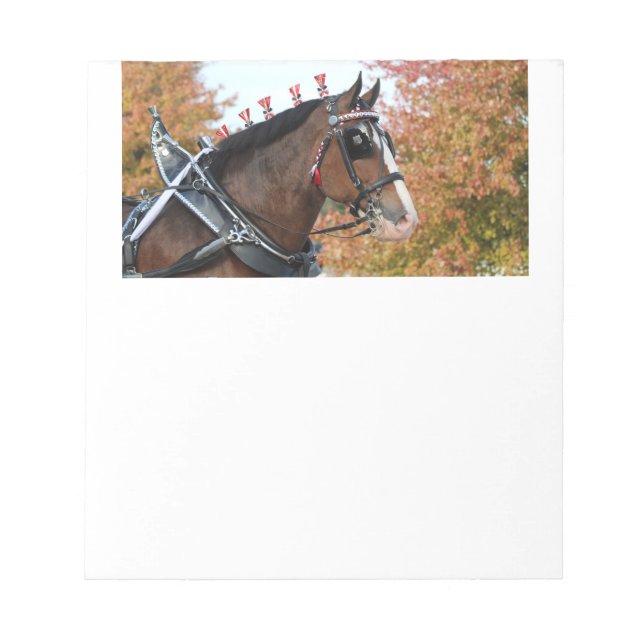 Bloc De Notas Clydesdale Horse Notepad (Frente)
