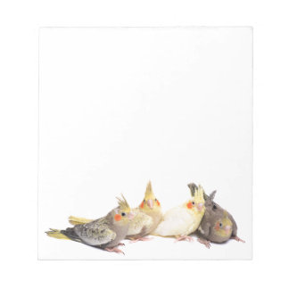 Bloc De Notas Cockatiels