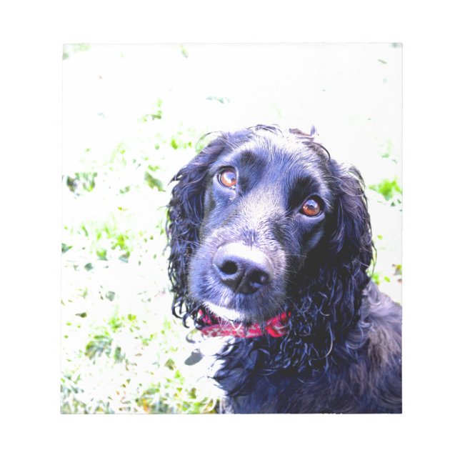Bloc De Notas Cocker Spaniel (Frente)