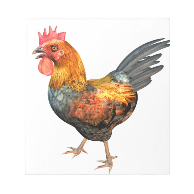 Bloc De Notas Cockerel Rooster (Frente)