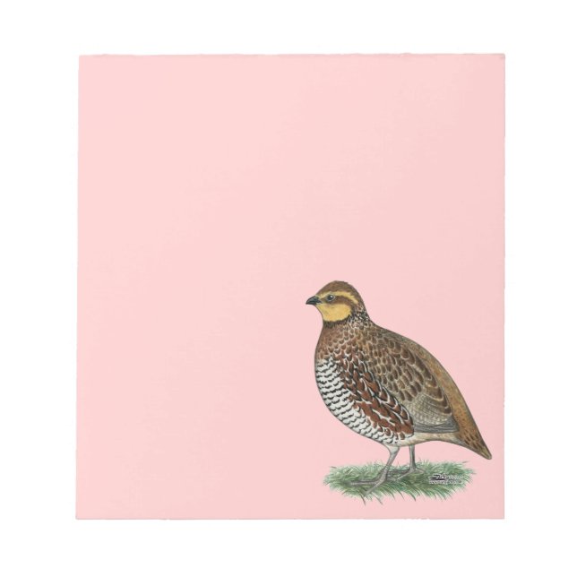 Bloc De Notas Codorniz Bobwhite hembra (Frente)