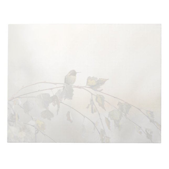 Bloc De Notas Colibrí 5265 (Frente)