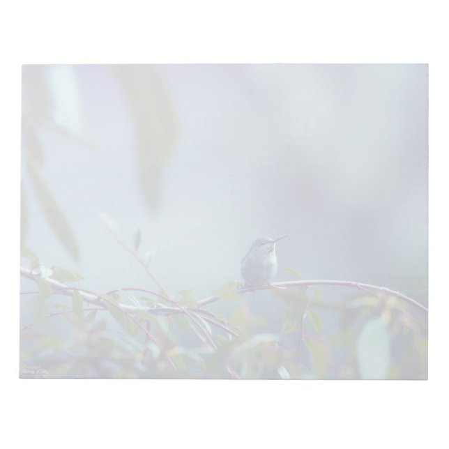 Bloc De Notas Colibrí 5738 (Frente)