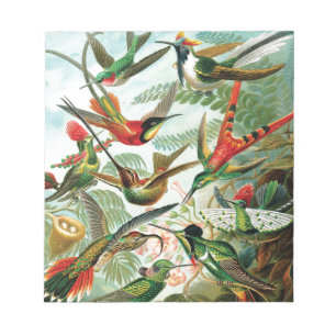 Bloc De Notas Colibríes de Ernst Haeckel