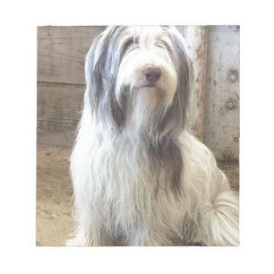 Bloc De Notas Collie con barba
