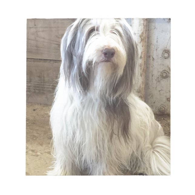 Bloc De Notas Collie con barba (Frente)