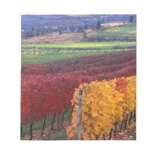 Bloc De Notas Colores intensos de otoño rojos y amarillos en Geh