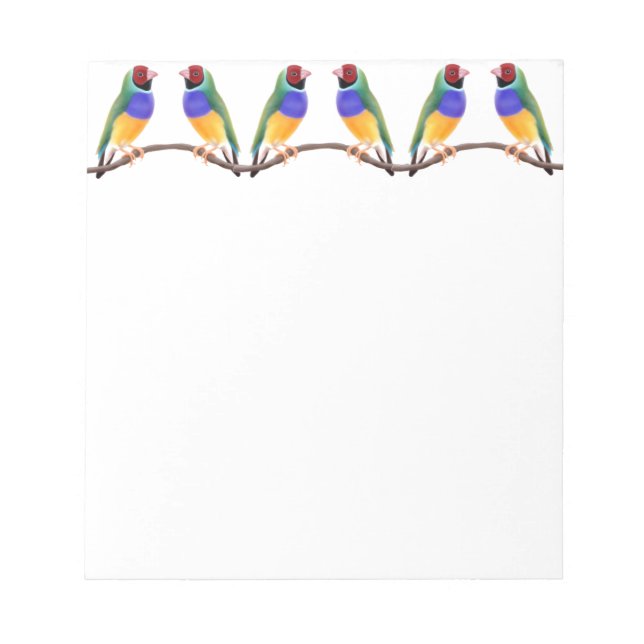 Bloc De Notas Colorido Gouldian Finches Notepad (Frente)
