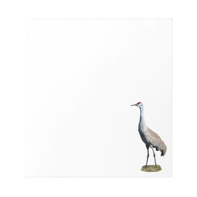 Bloc de notas con fotos de Sandhill Crane (Frente)