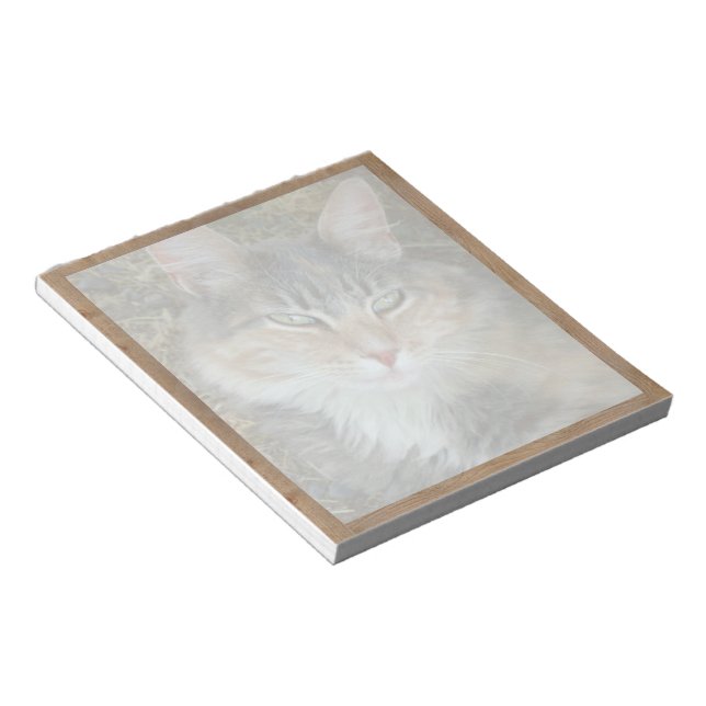 Bloc de notas con la foto desvaneciéndose (Lado Derecho)