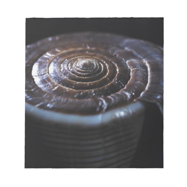 Bloc De Notas Concha de cono (Frente)